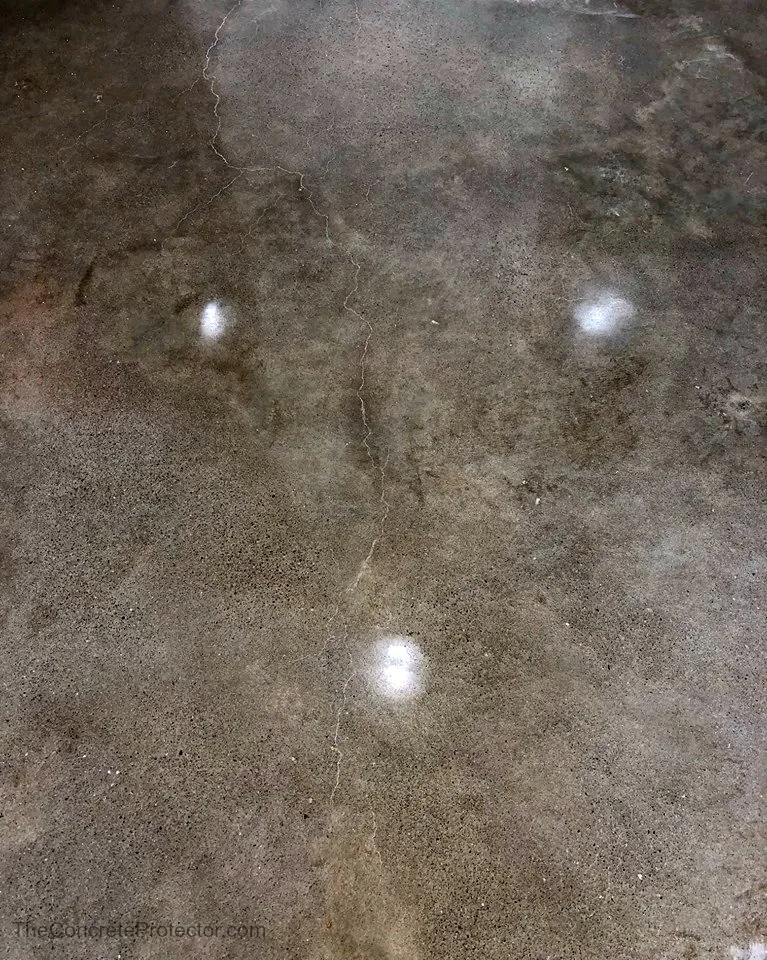 Polished concrete floor system