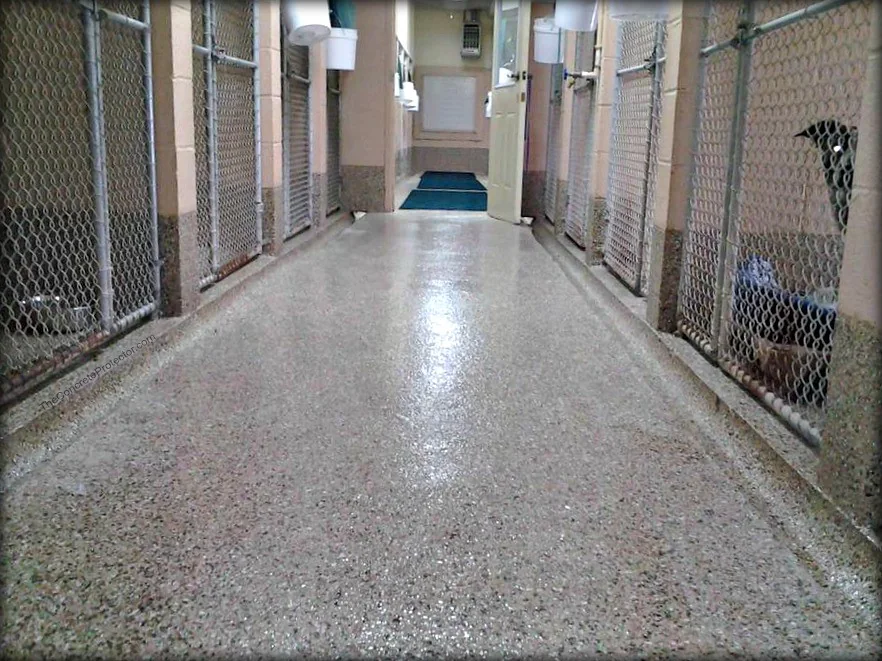 Protector Color Flakes floor in an animal shelter kennel aisle
