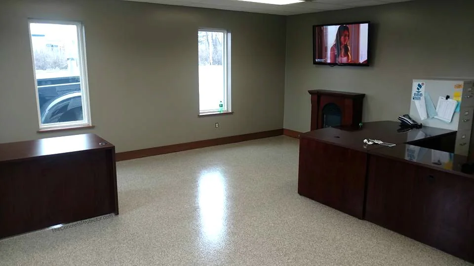 Protector Color Flakes floor in a finished living space